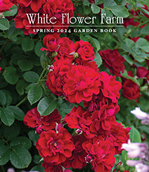 Get a free White Flower Farm Catalog