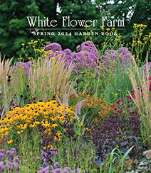 Get a free White Flower Farm Catalog