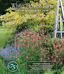Get a free White Flower Farm Catalog