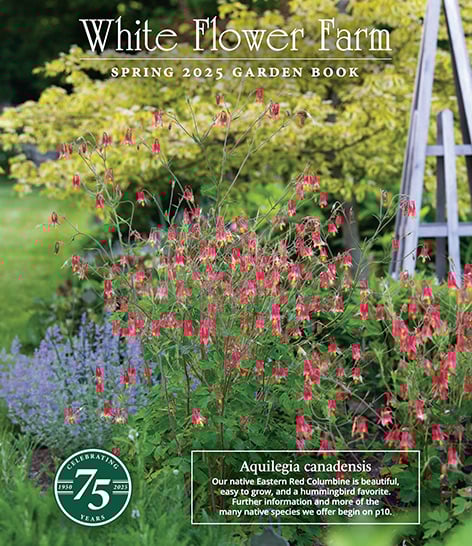 Catalog Cover