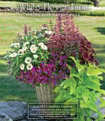 Get a free White Flower Farm Catalog