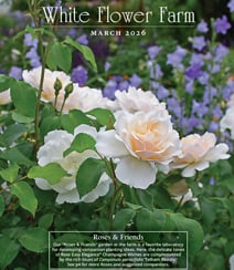 Get a free White Flower Farm Catalog