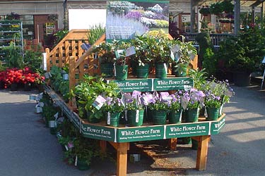 Garden Center Partners White Flower Farm